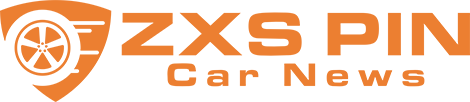 ZXS PIN